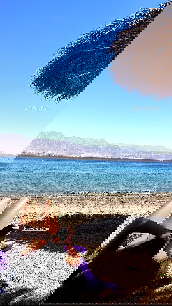 sofialevin__ sofialevin__ archive image