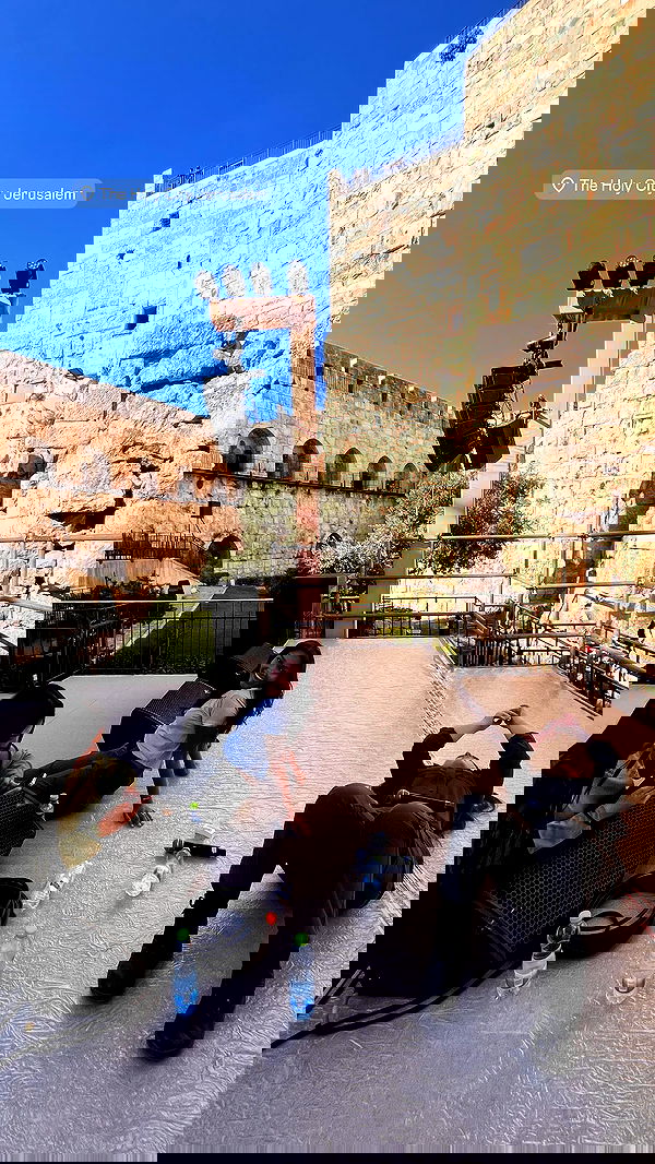 sofialevin__ sofialevin__ archive image