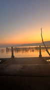 sofiya.pl Altpins Profile Picture