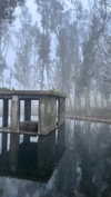 sofiya.pl Altpins Profile Picture