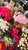 sofiya.pl Altpins Profile Picture