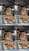 sonia_litvanchuk Altpins Profile Picture