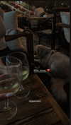 sonia_litvanchuk Altpins Profile Picture