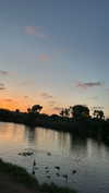 sonia_litvanchuk Altpins Profile Picture