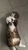 sonia_litvanchuk Altpins Profile Picture