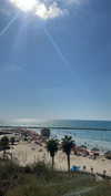 sonia_litvanchuk Altpins Profile Picture