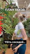 sonya_fisher_ Altpins Profile Picture