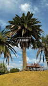 sonya_fisher_ Altpins Profile Picture