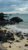 sonya_fisher_ Altpins Profile Picture
