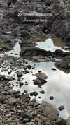 sonya_fisher_ Altpins Profile Picture
