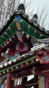 sonya_fisher_ Altpins Profile Picture