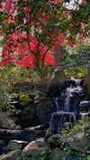 sonya_fisher_ Altpins Profile Picture