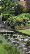 sonya_fisher_ Altpins Profile Picture