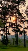 sonya_fisher_ Altpins Profile Picture