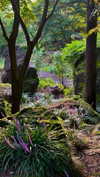 sonya_fisher_ Altpins Profile Picture