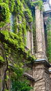 sonya_fisher_ Altpins Profile Picture