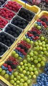 sonya_fisher_ Altpins Profile Picture