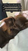 sophia.zadvor Altpins Profile Picture
