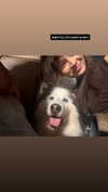 sophia.zadvor Altpins Profile Picture