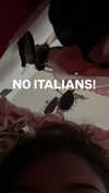 sophiagiannamore Altpins Profile Picture