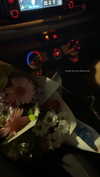 sophie.murray__ Altpins Profile Picture