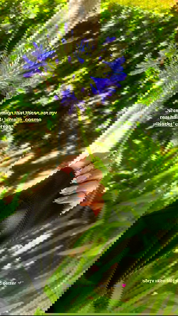 sophiemudd sophiemudd archive image