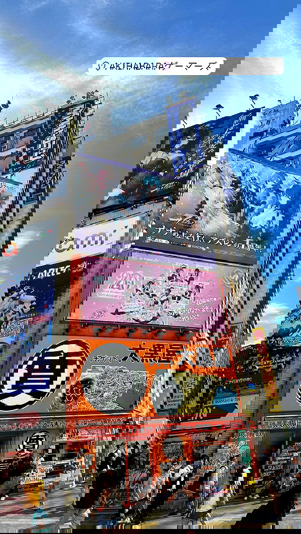 sophiemudd sophiemudd archive image