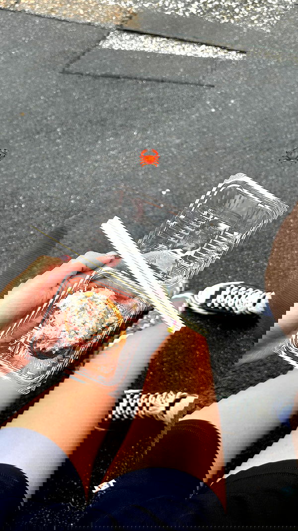 sophiemudd sophiemudd archive image