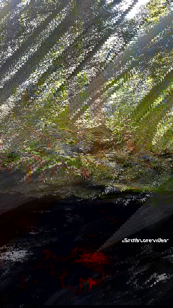 sophiemudd sophiemudd archive image