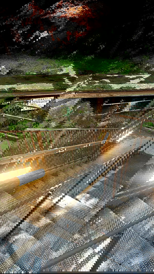 sophiemudd sophiemudd archive image