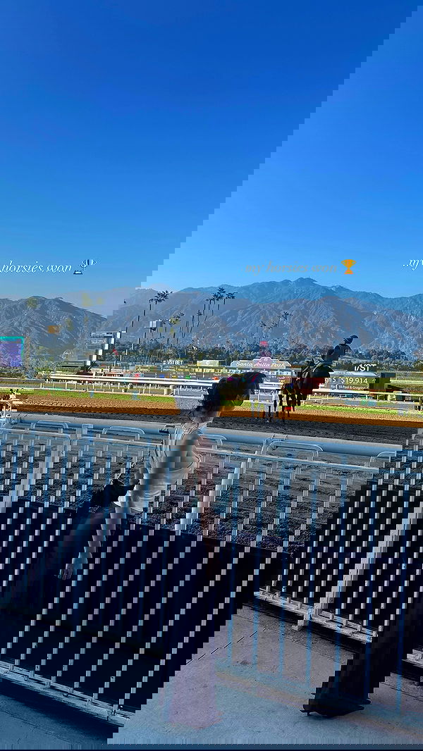 sophiemudd sophiemudd archive image