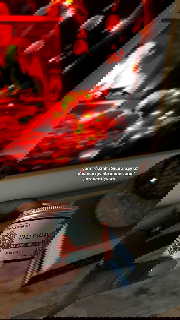 sophiemudd sophiemudd archive image