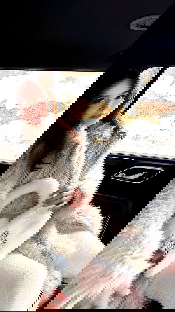 sophiemudd sophiemudd archive image