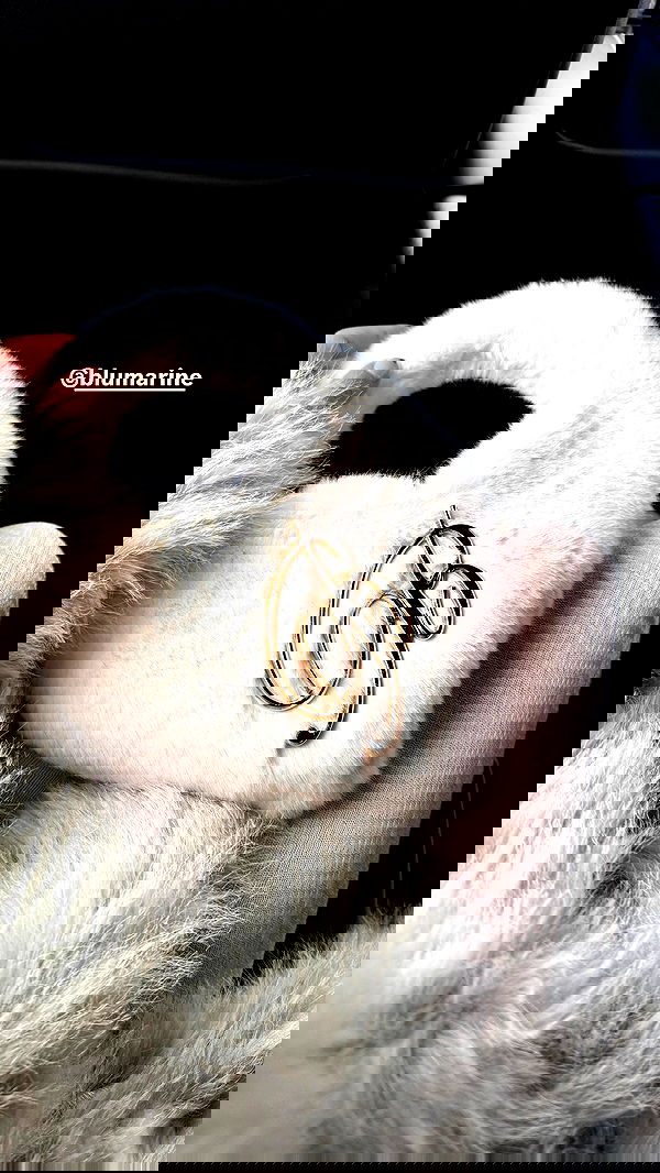 sophiemudd sophiemudd archive image