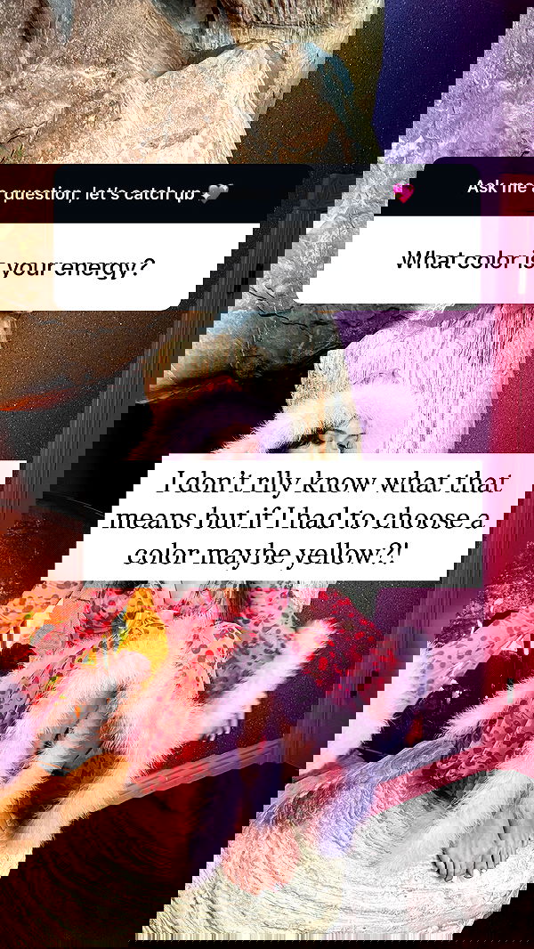 sophiemudd sophiemudd archive image