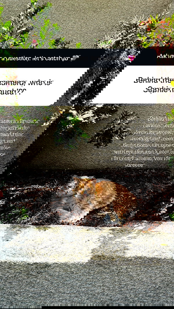 sophiemudd sophiemudd archive image