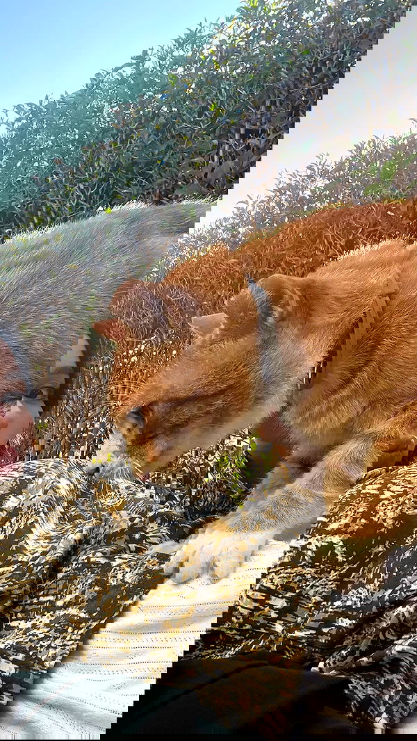 sophiemudd sophiemudd archive image