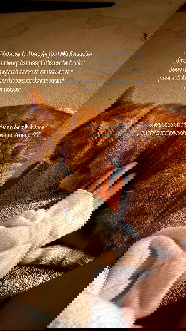 sophiemudd sophiemudd archive image