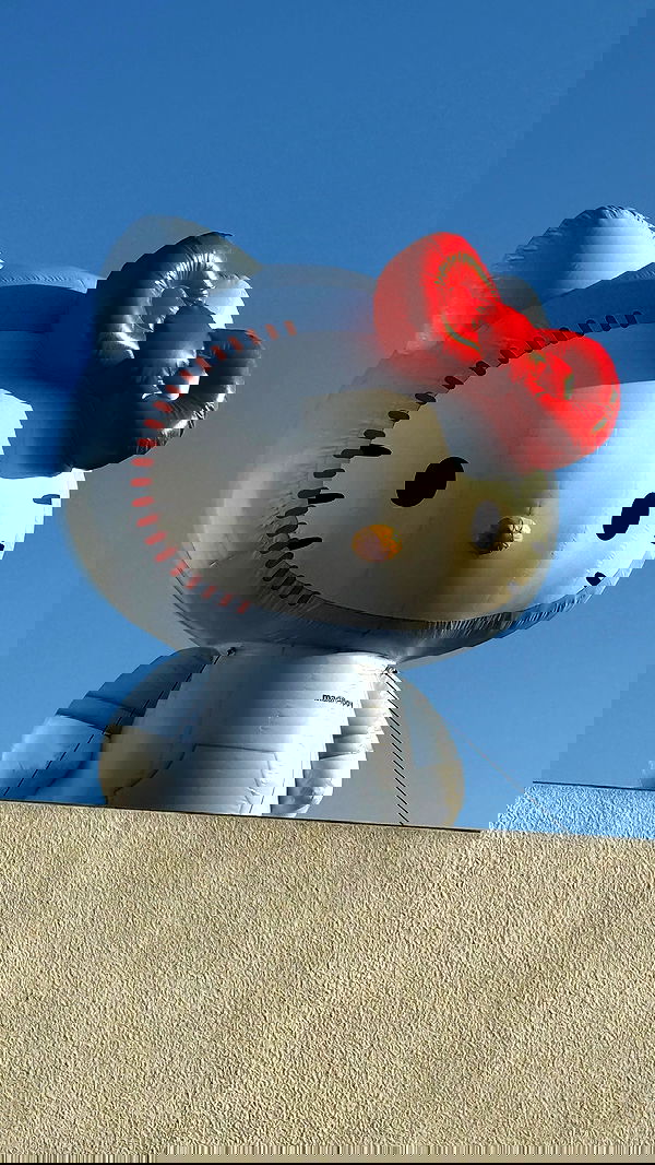 sophiemudd sophiemudd archive image