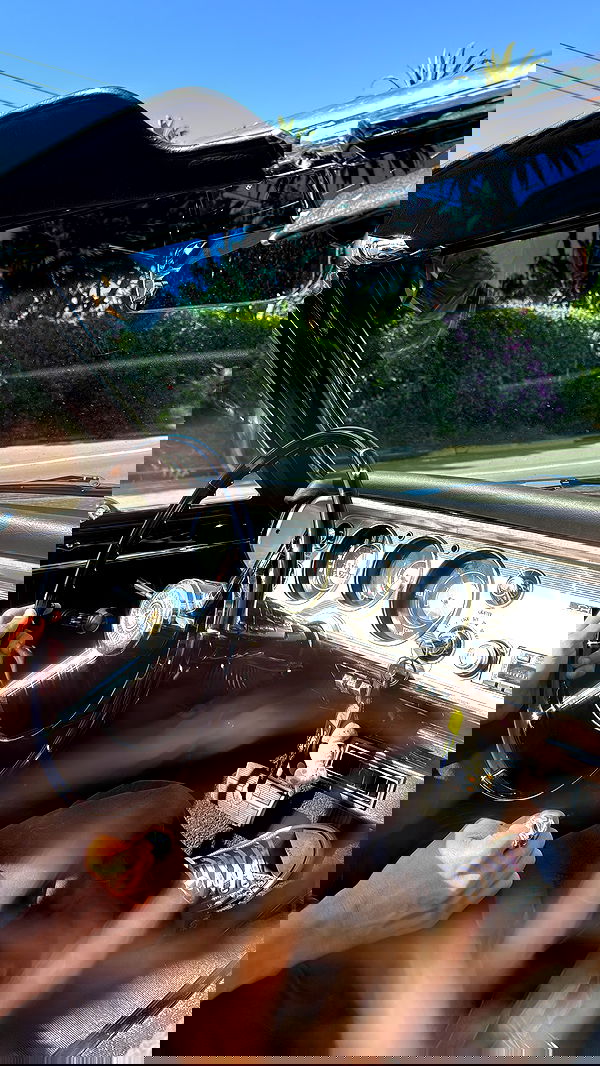 sophiemudd sophiemudd archive image