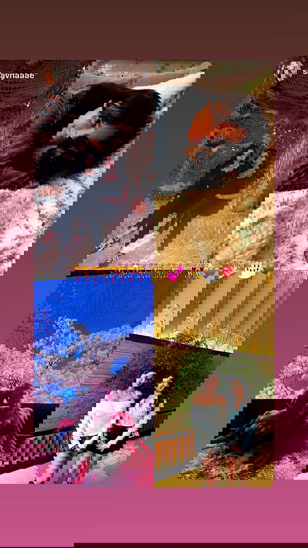 sophiemudd sophiemudd archive image