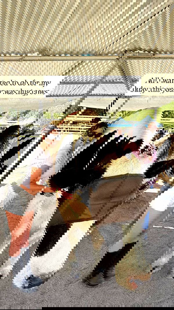 sophiemudd sophiemudd archive image