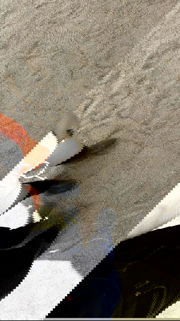 sophiemudd sophiemudd archive image