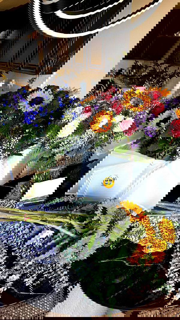 sophiemudd sophiemudd archive image