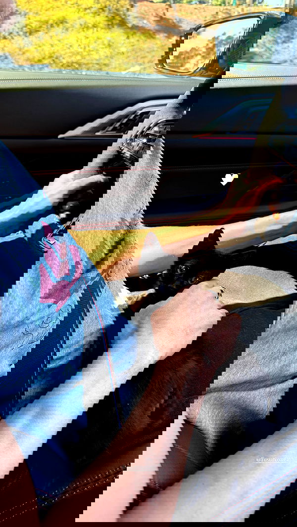 sophiemudd sophiemudd archive image