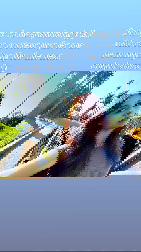 sophiemudd sophiemudd archive image