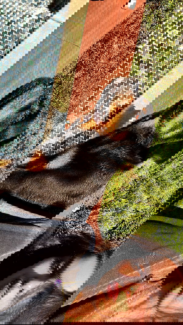 sophiemudd sophiemudd archive image