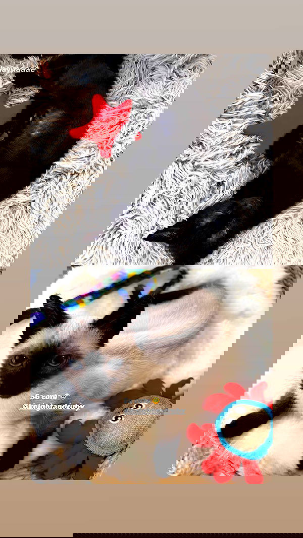 sophiemudd sophiemudd archive image