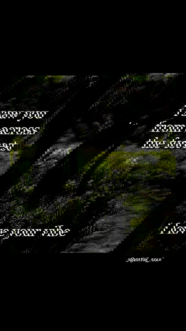 sophiemudd sophiemudd archive image