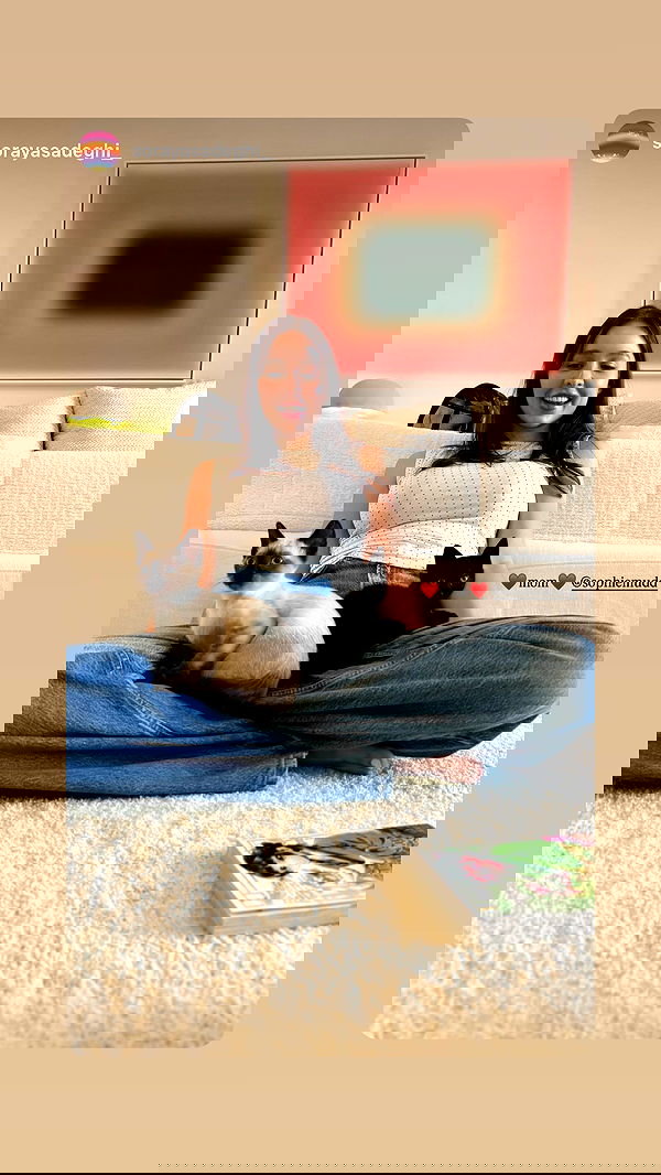 sophiemudd sophiemudd archive image